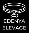 Edenya Elevage – Chats Bengal